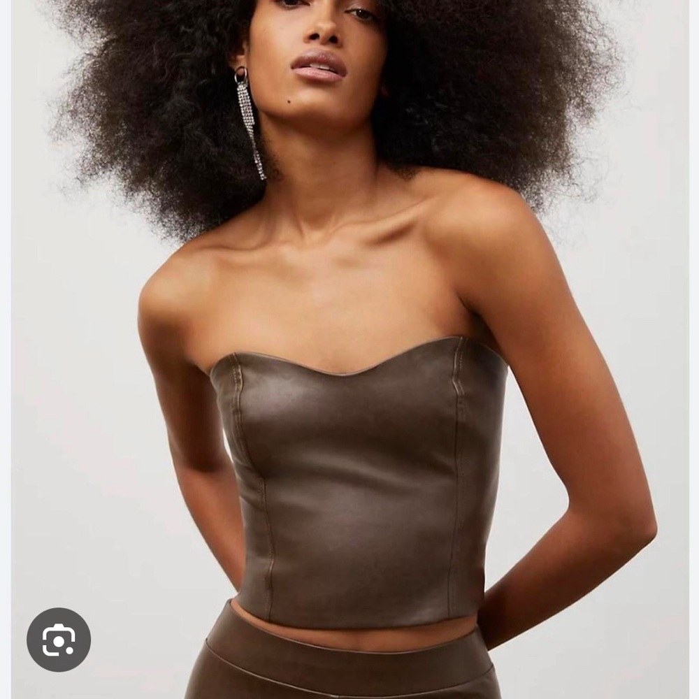 Aritzia Babaton Cindy bustier size 12